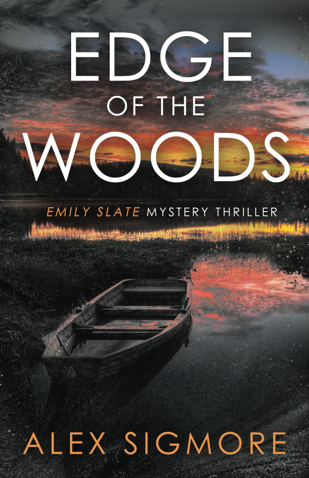 Edge of the Woods (Emily Slate FBI Mystery Thriller, Band 12) Detective & CSI