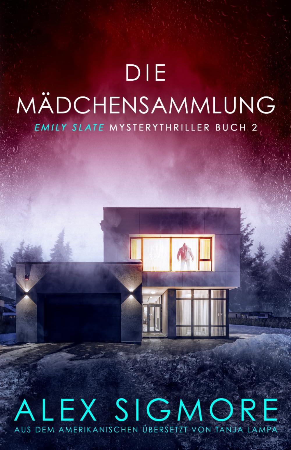 Die Mädchensammlung, (Emily Slate Mysterythriller Buch 2) Detective & CSI