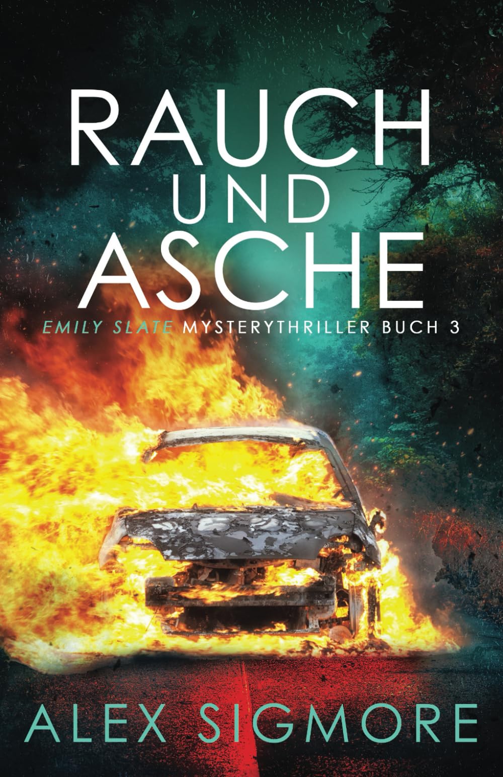 Rauch und Asche: (Emily Slate Mysterythriller Buch 3) book
