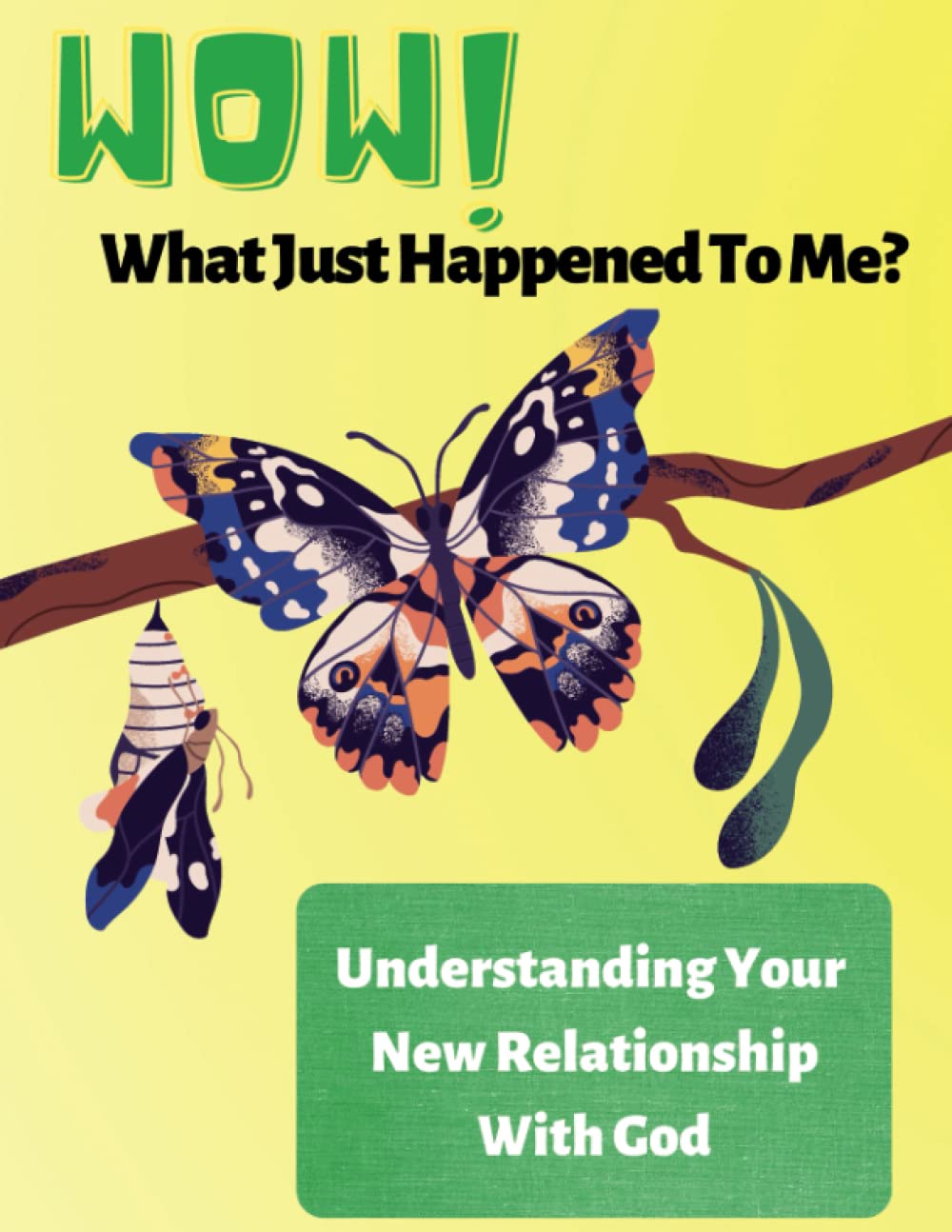 Wow! What Just Happened to Me?: Understanding Your New Relationship With God Religion & Esotericism
