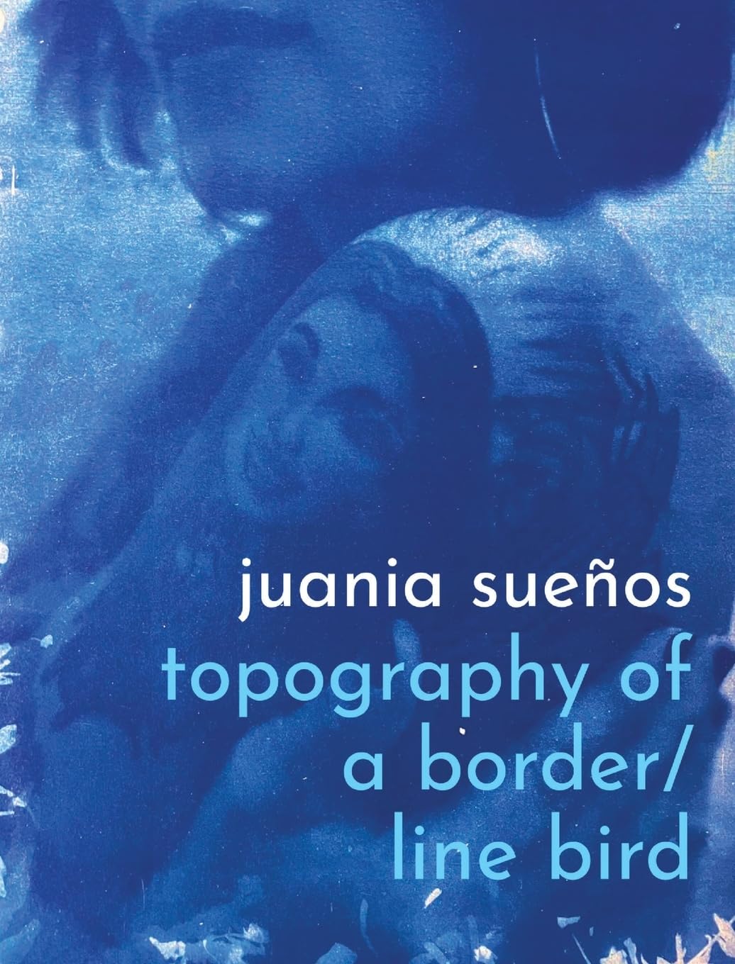 topography of a border / line bird Poetry