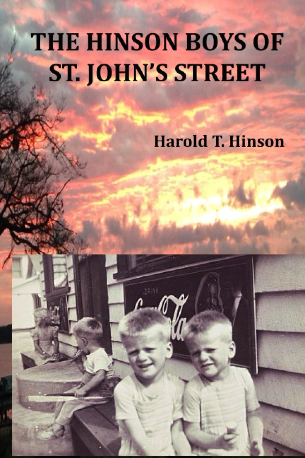 The Hinson Boys of St. John's Street Politics & History
