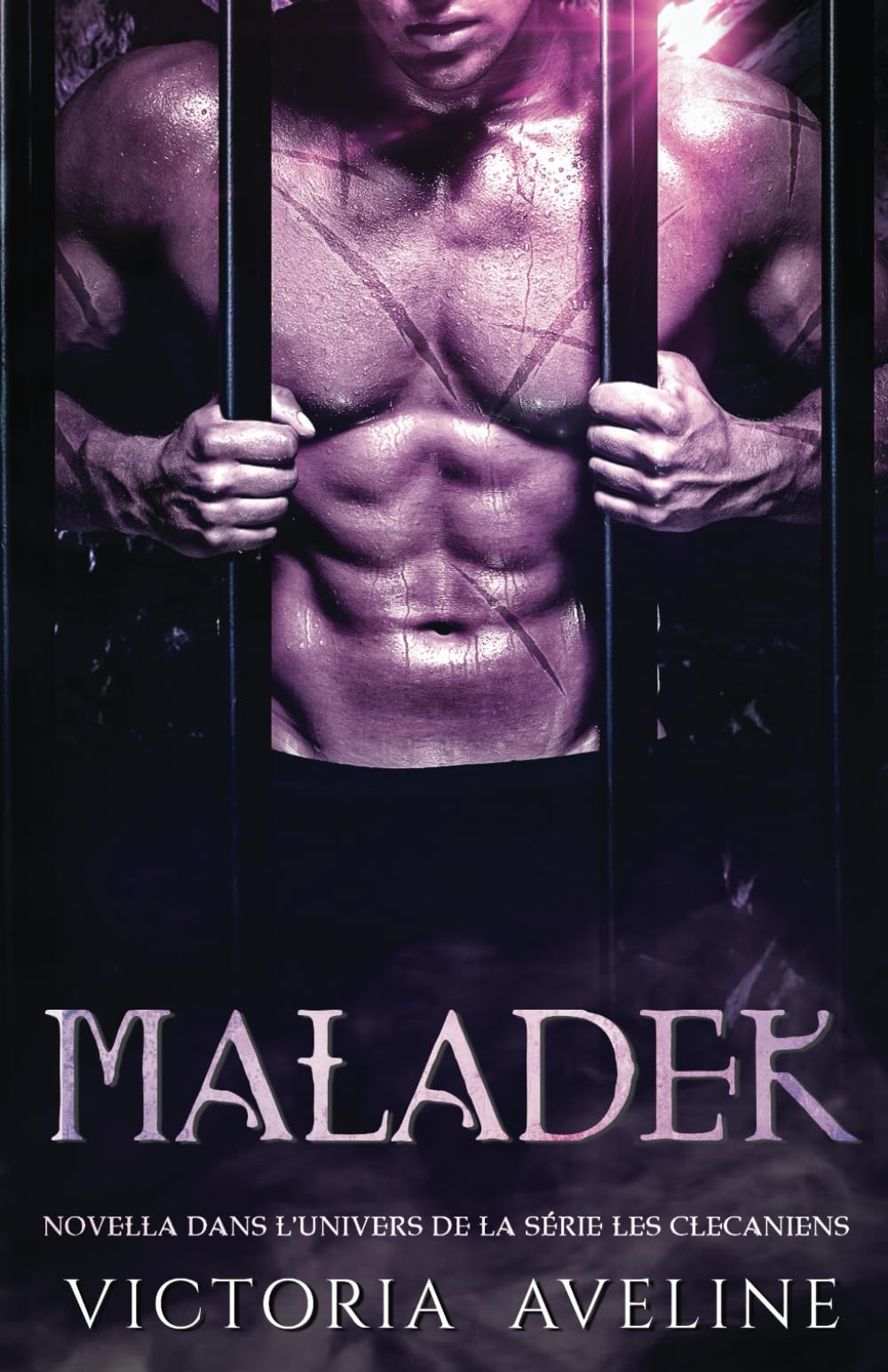 Maladek: Novella dans l’univers de la série Les Clecaniens book