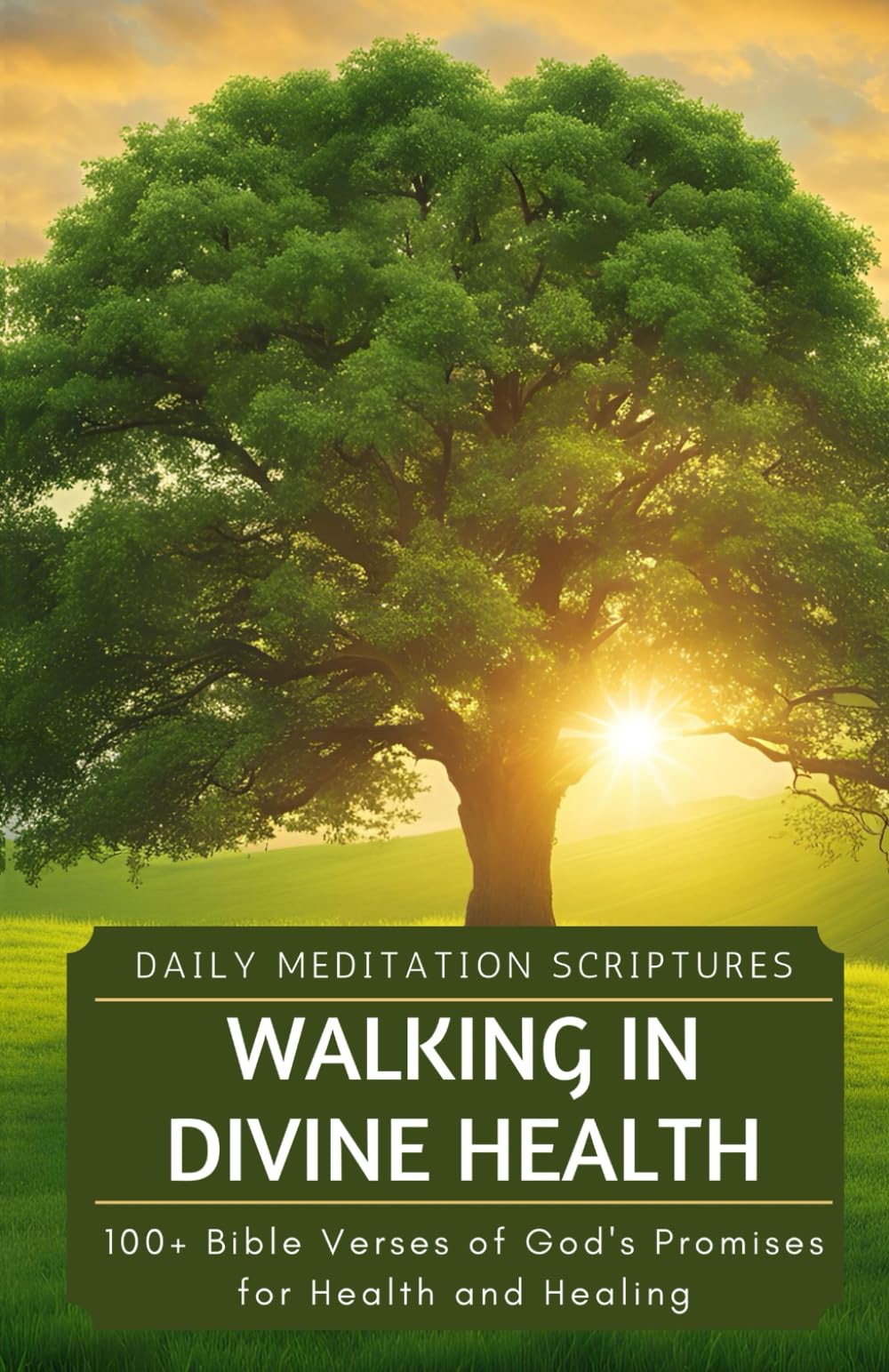 Walking in Divine Health: 100+ Bible Verses of God's Promises for Health and Healing (Daily Meditation Scriptures, Band 3) Religion & Esotericism