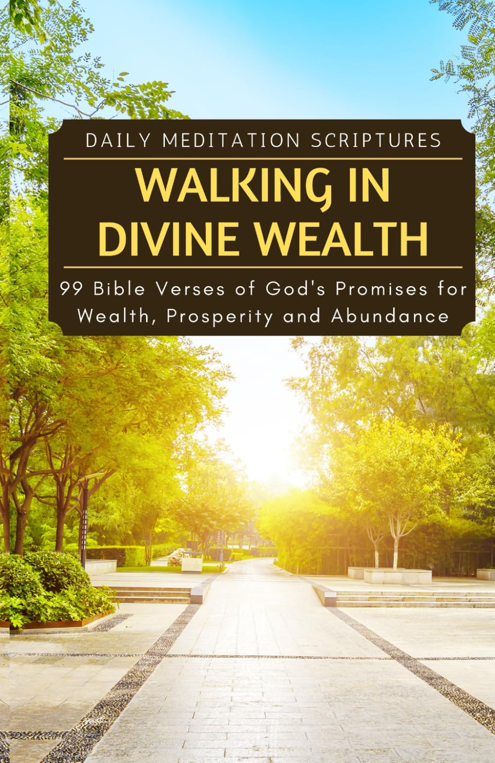 Walking in Divine Wealth: 99 Bible Verses of God's Promises for Wealth, Prosperity and Abundance Religion & Esotericism
