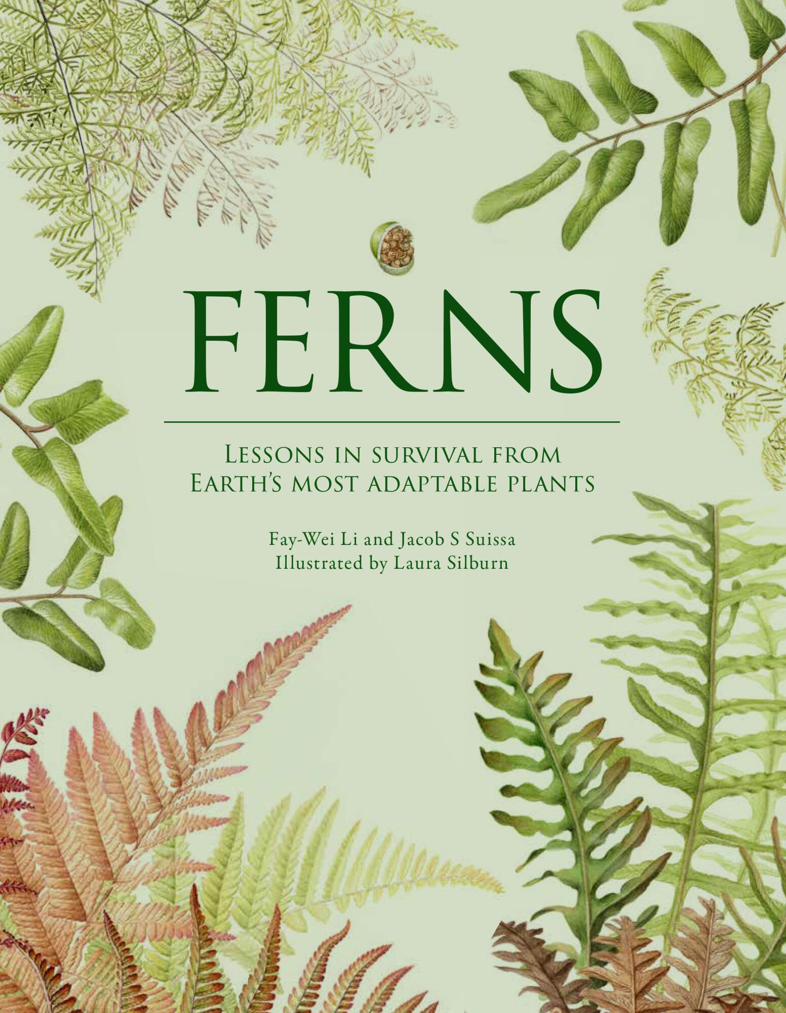 Ferns: Lessons in Survival from Earth’s Most Adaptable Plants Mathematics