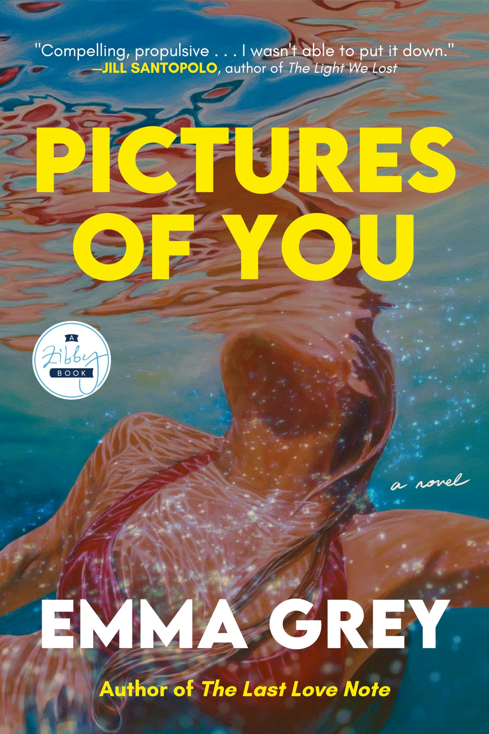 Pictures of You Contemporary literature