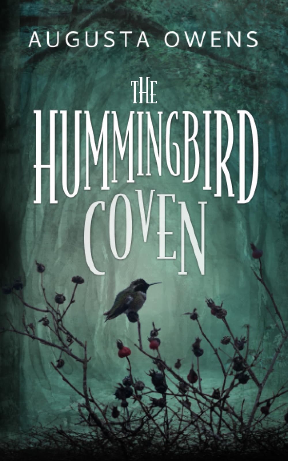 The Hummingbird Coven (The Hummingbird Coven Trilogy, Band 1) Fiction