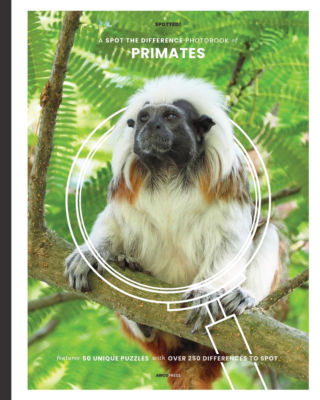 A Spot the Difference Photobook of Primates Mathematics