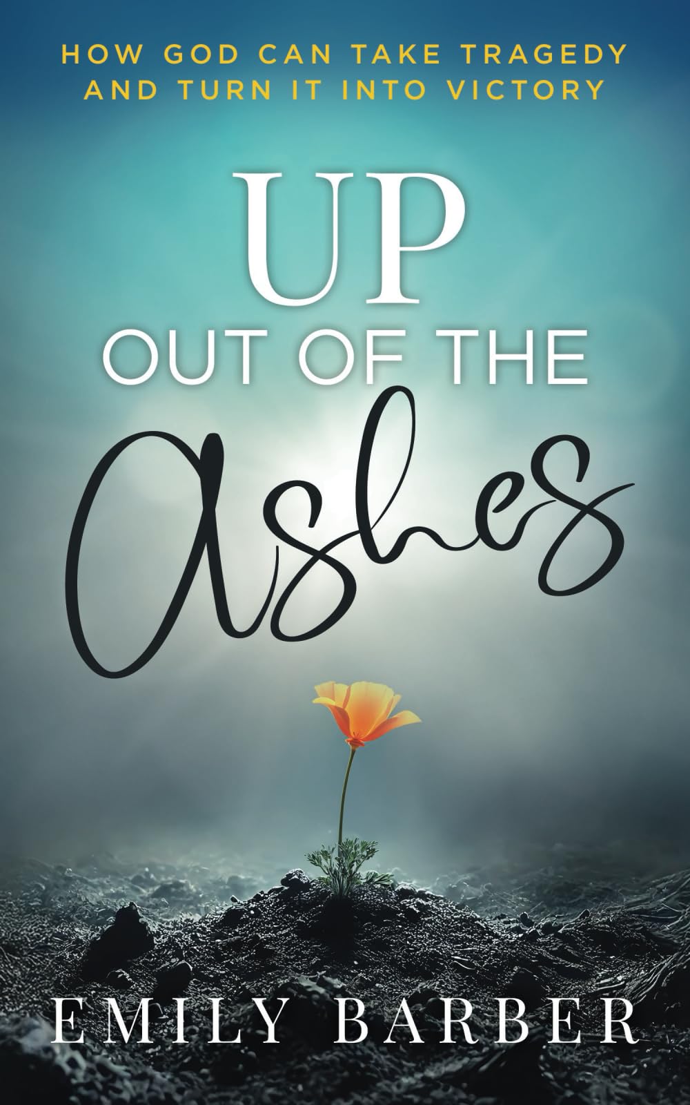 Up Out of the Ashes: How God Can Take Tragedy and Turn It into Victory Religion & Esotericism