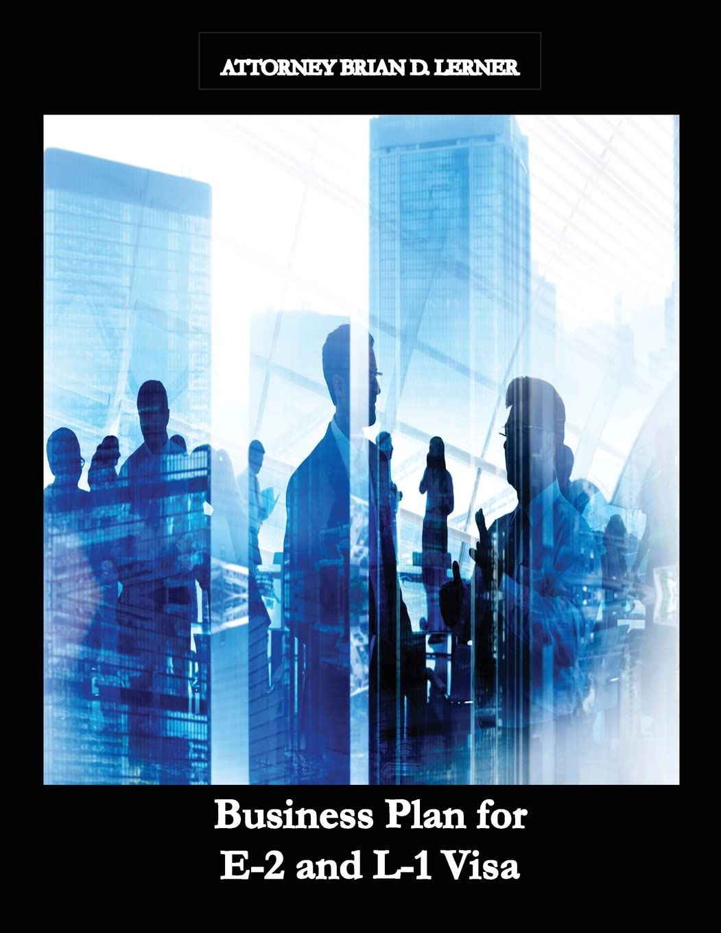 Business Plan for E-2 and L-1 Visa: Business Plan for E-2 and L-1 Visa Petitions prepared by Immigration Law Firm Law