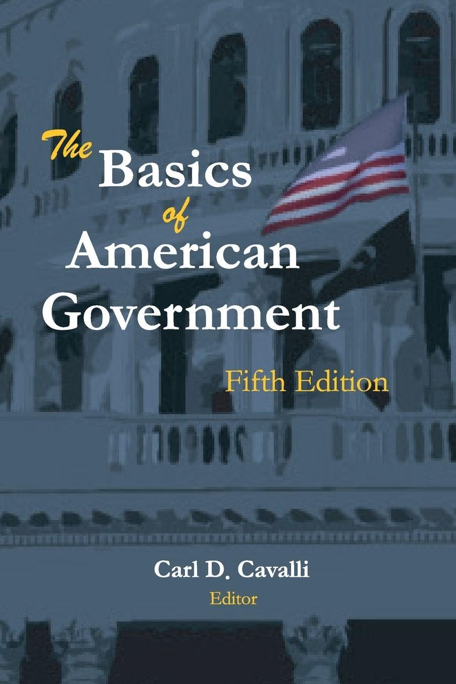 The Basics of American Government Law