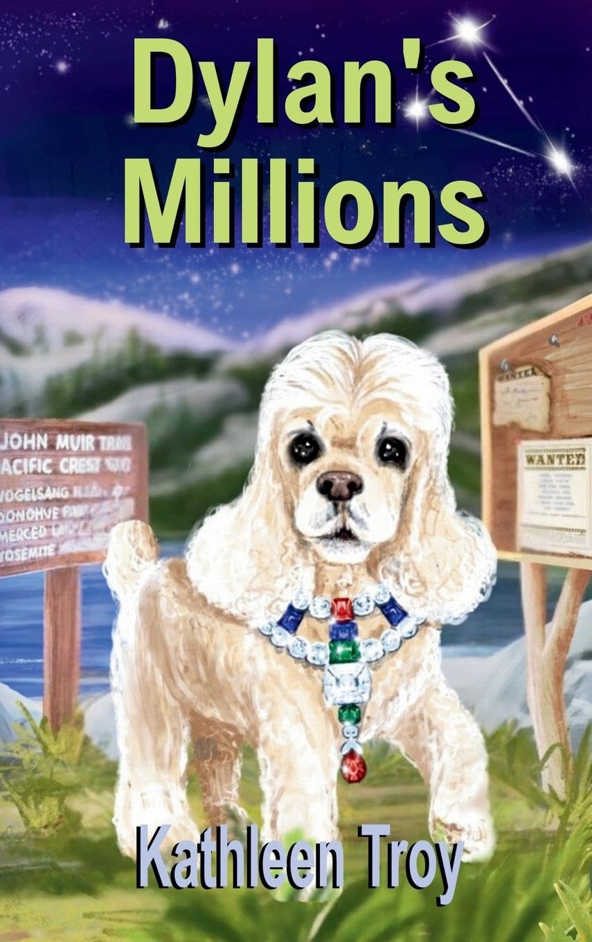 Product Image: Dylan's Millions