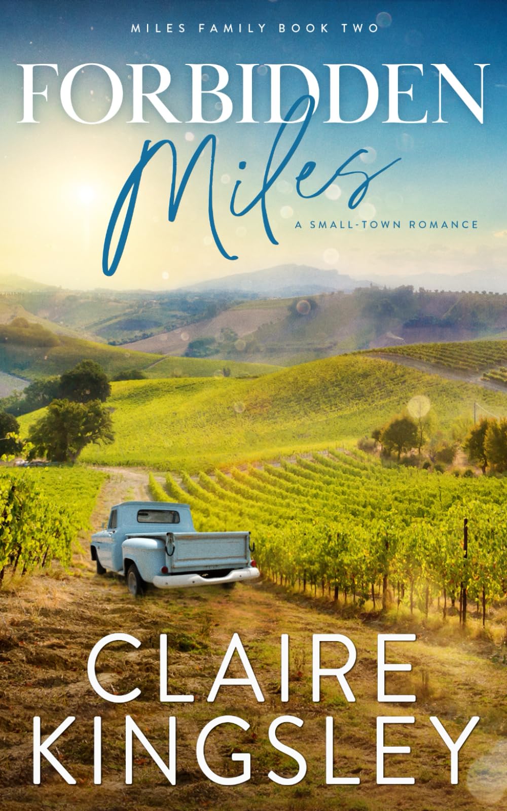 Forbidden Miles: A Small-Town Romance (Miles Family, Band 2) Contemporary literature