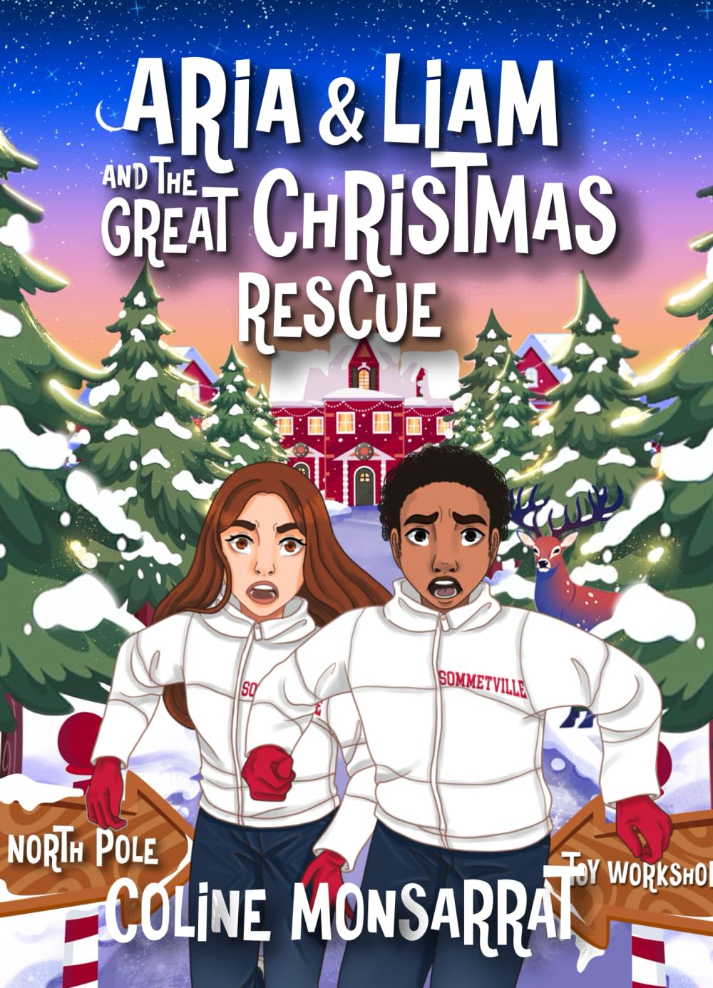 Aria & Liam and The Great Christmas Rescue Non-fiction