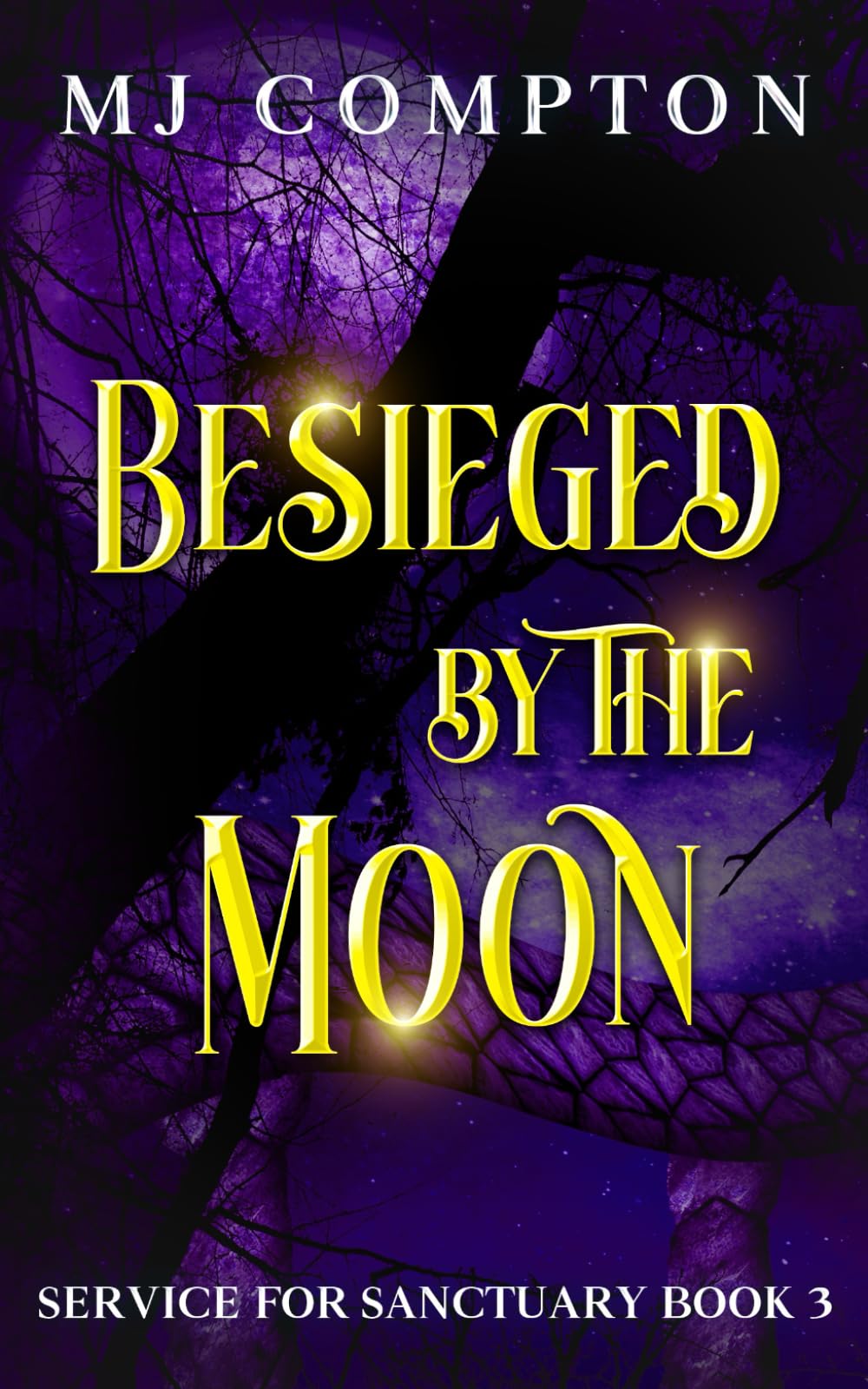 Product Image: Besieged by the Moon