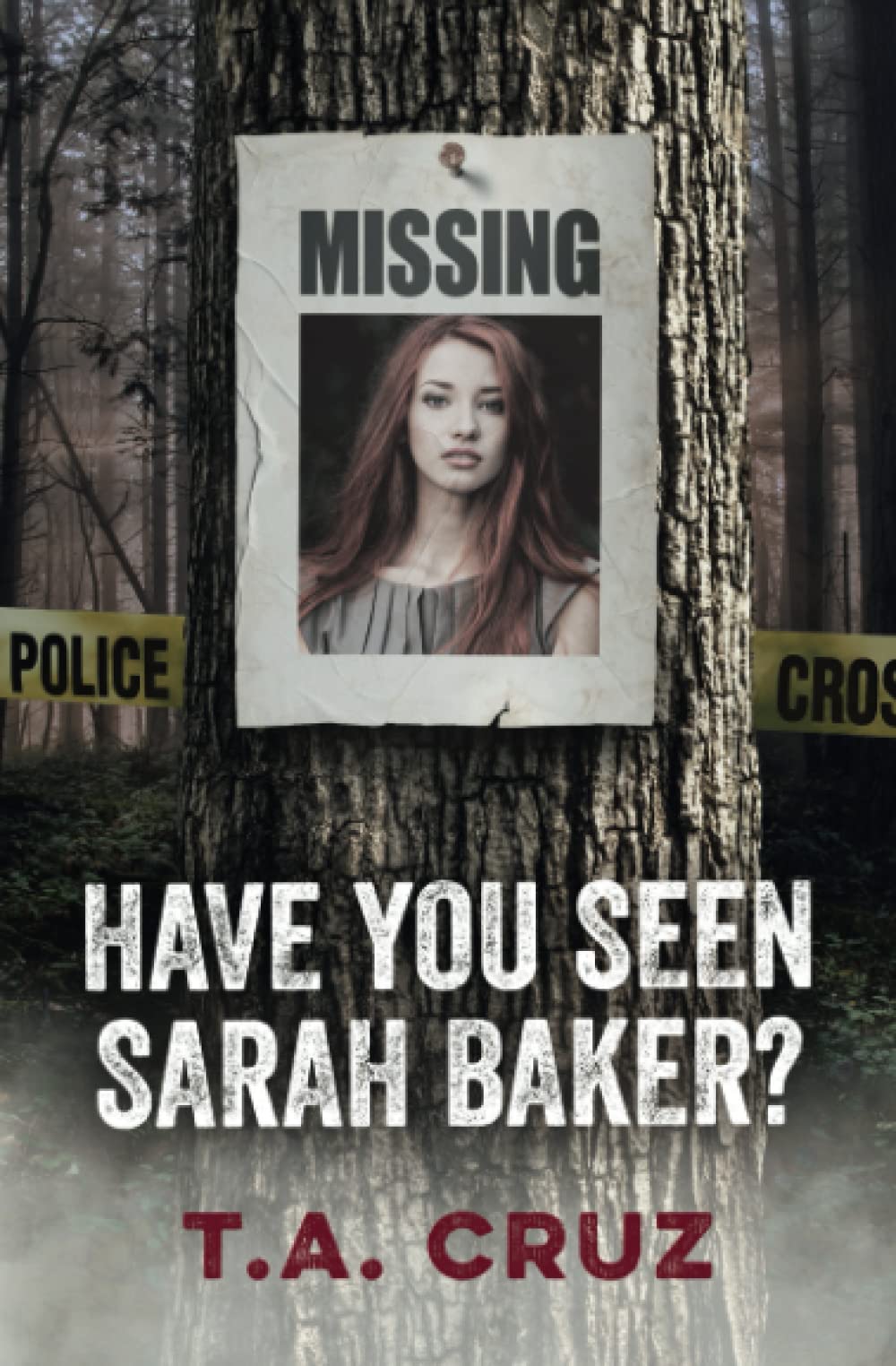 Product Image: Have You Seen Sarah Baker?