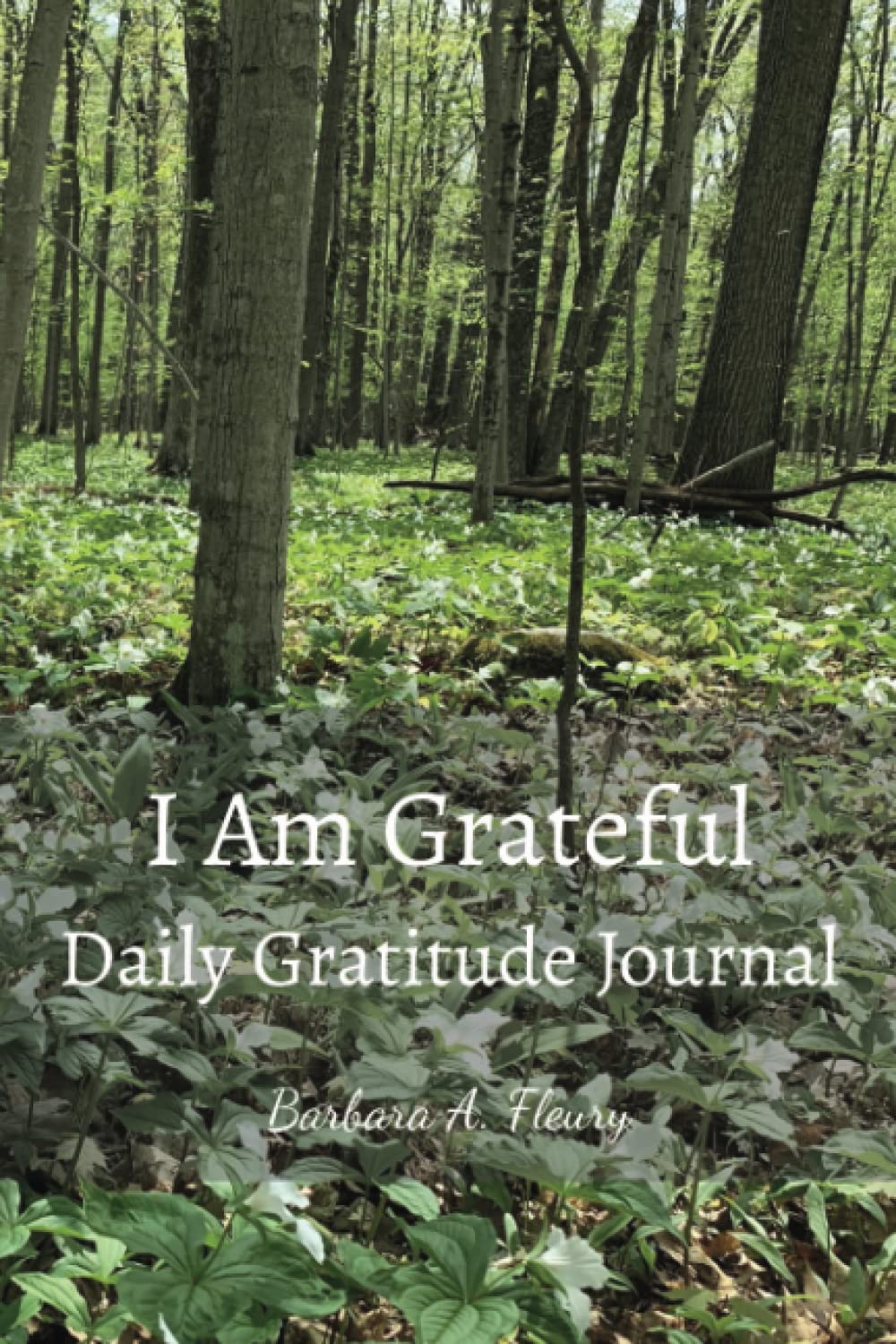 I Am Grateful: A Daily Journey of Discovery Essays & Short Stories