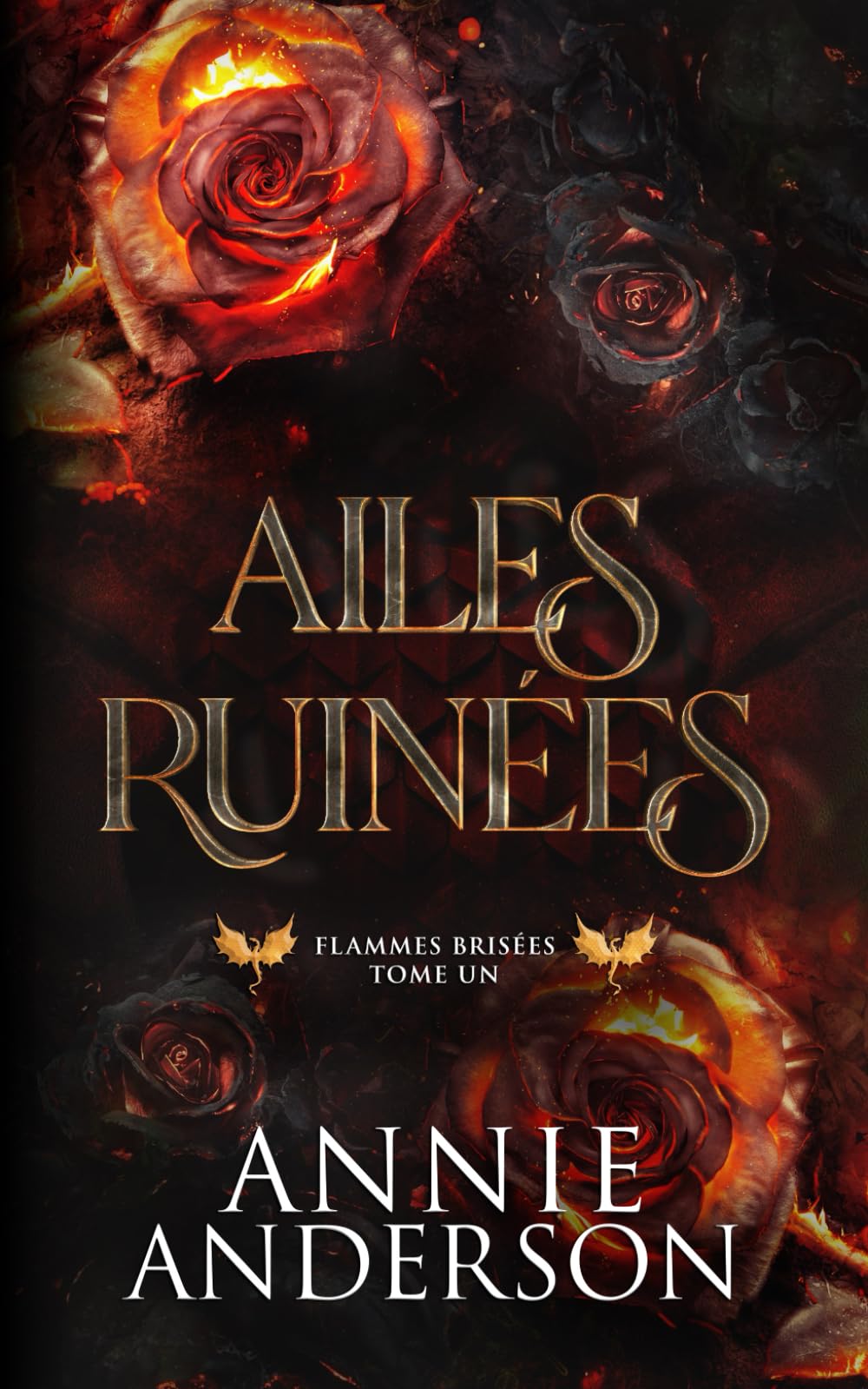 Product Image: Ailes ruinées