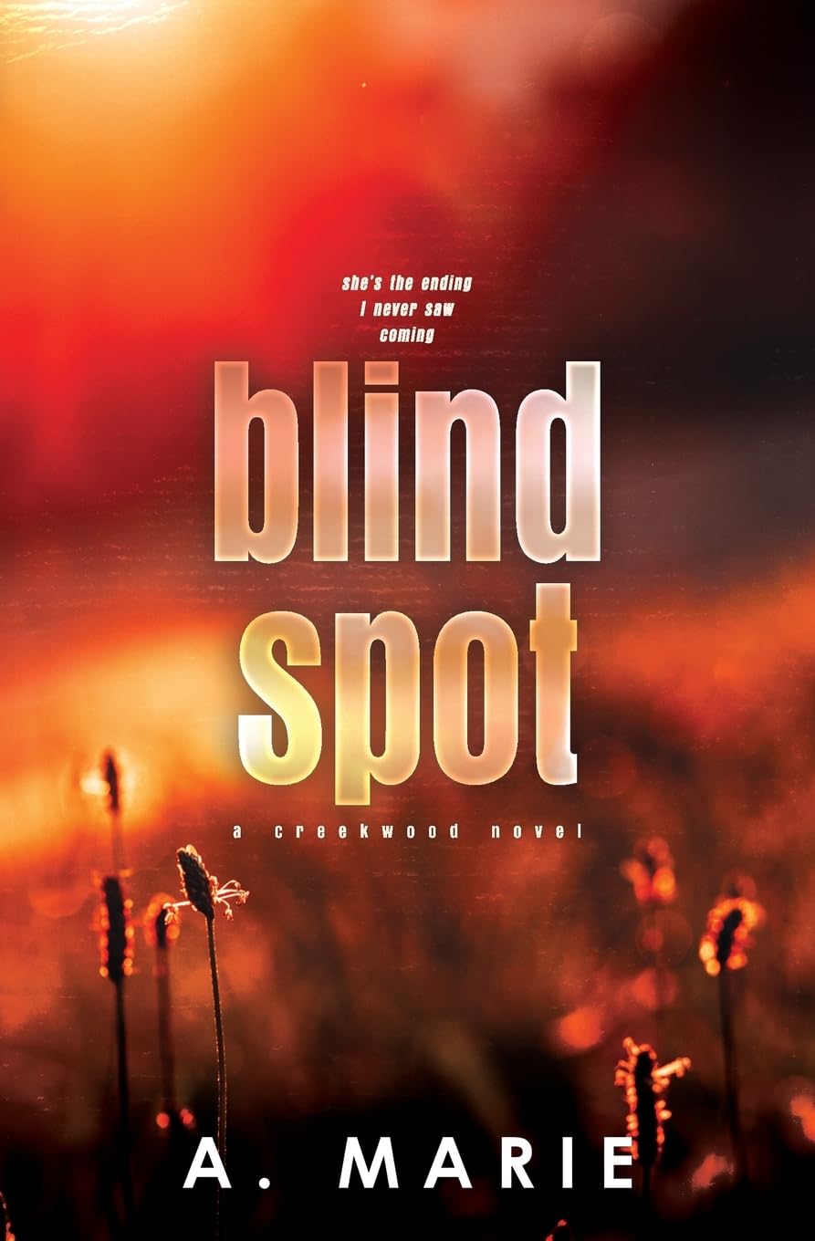 Blind Spot Discreet Cover Humour & Satire