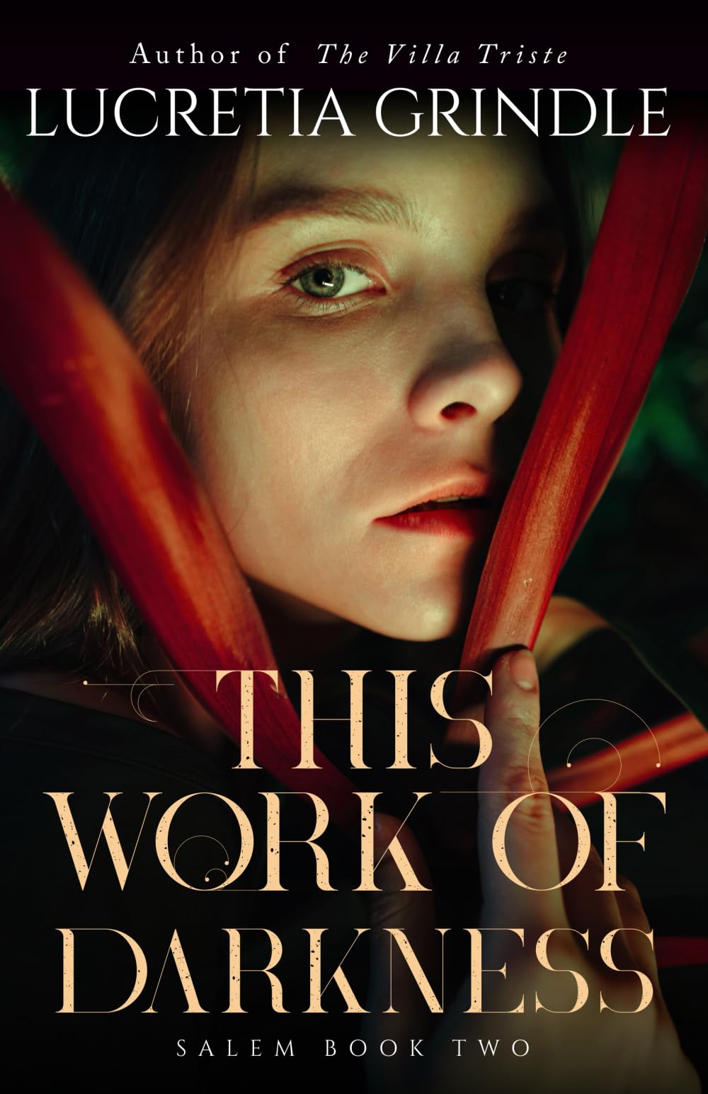 This Work of Darkness (Salem, Band 2) Historical Fiction