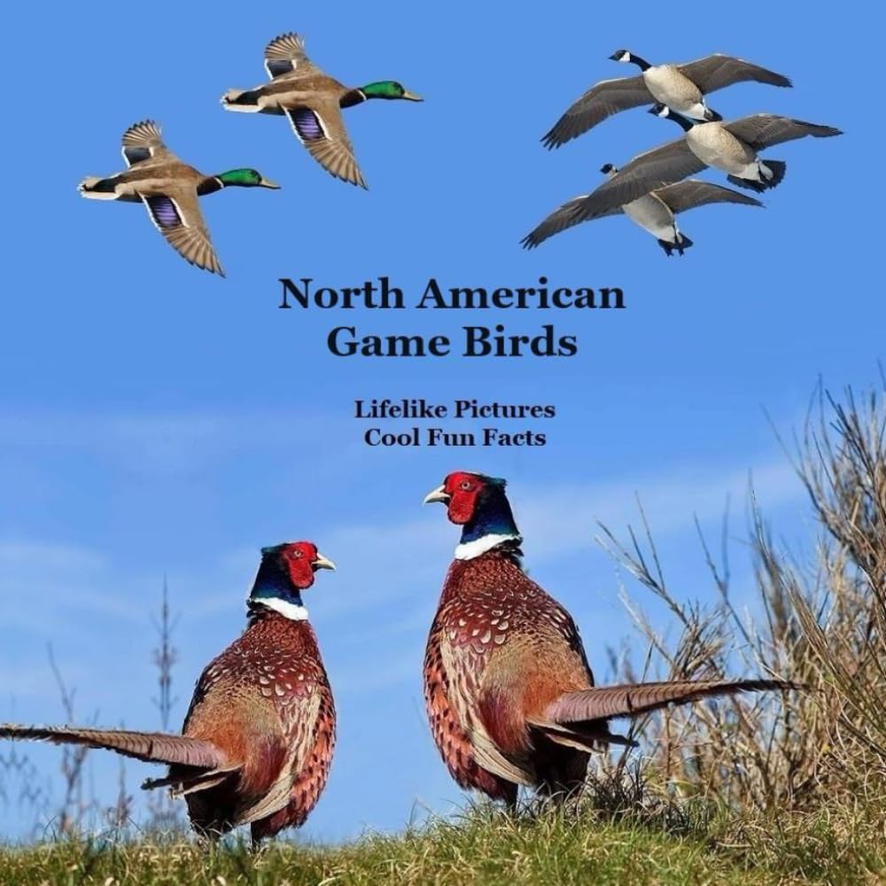 North American Game Birds Kids Book: Great Way to Meet the Game Birds of North America Leisure & Fun