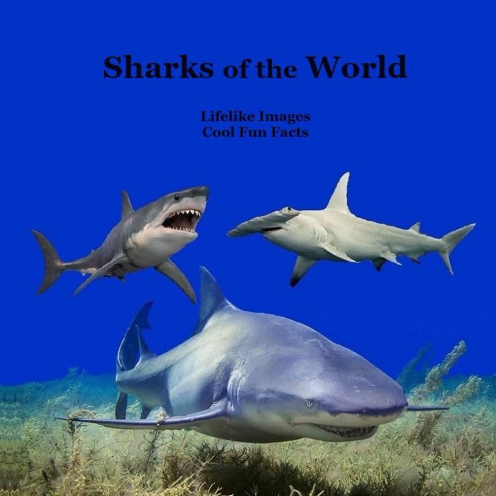 Sharks of the World Kids Book: Great Way for Children to Meet the Sharks Around the World Non-fiction