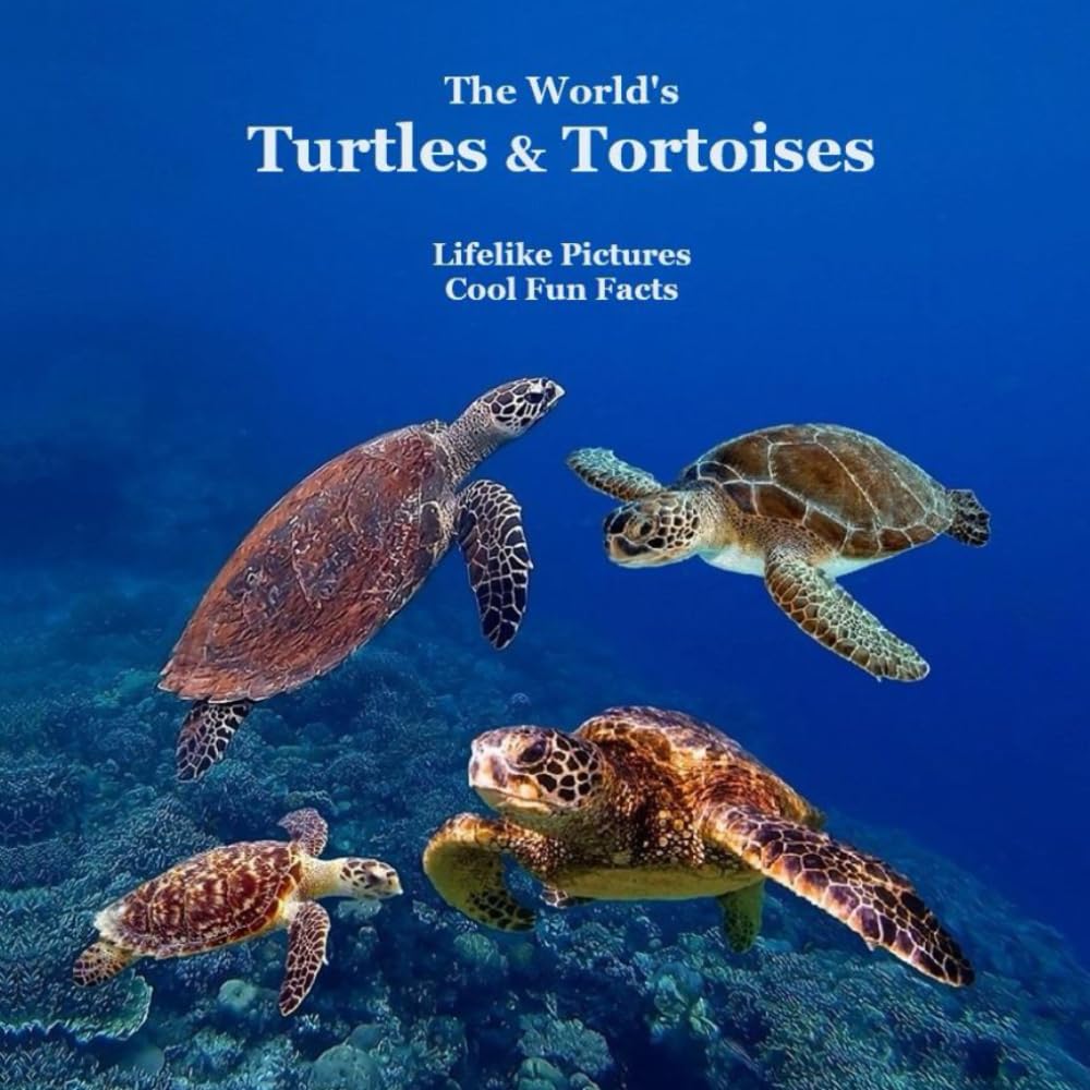 The World's Turtles and Tortoises Kids Book: Great Way for Kids to meet the Turtles and Tortoises of the World Novels & Short Stories