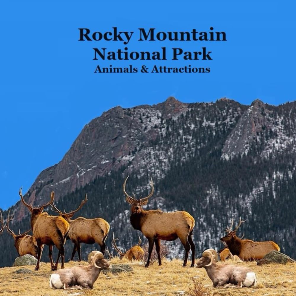 Rocky Mountain National Park Animals & Attractions Kids Book Travel Guides