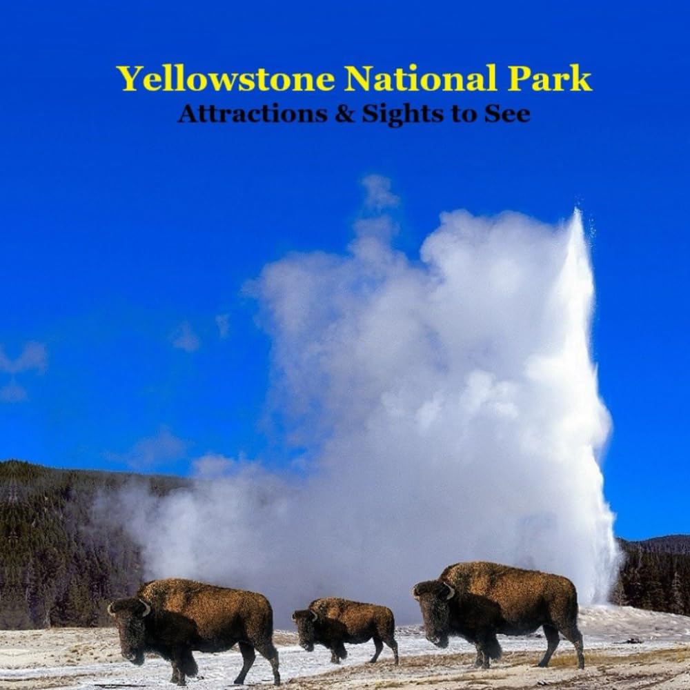 Yellowstone Park Attractions and Sights to See Kids Book Leisure, Home & Garden