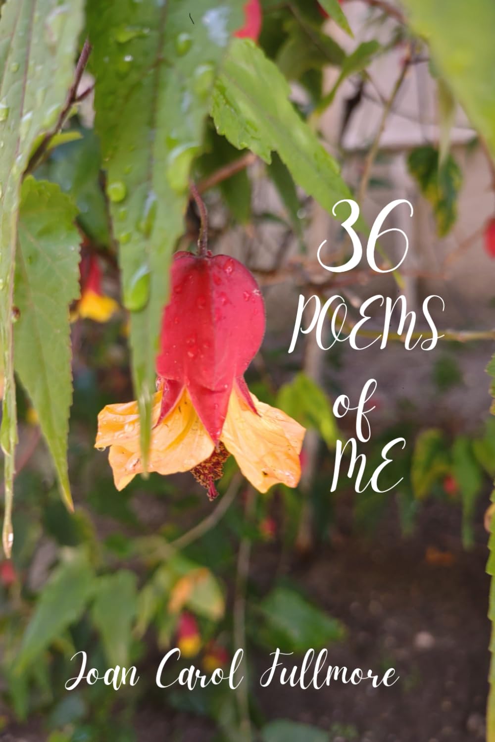 36 Poems of Me Poetry