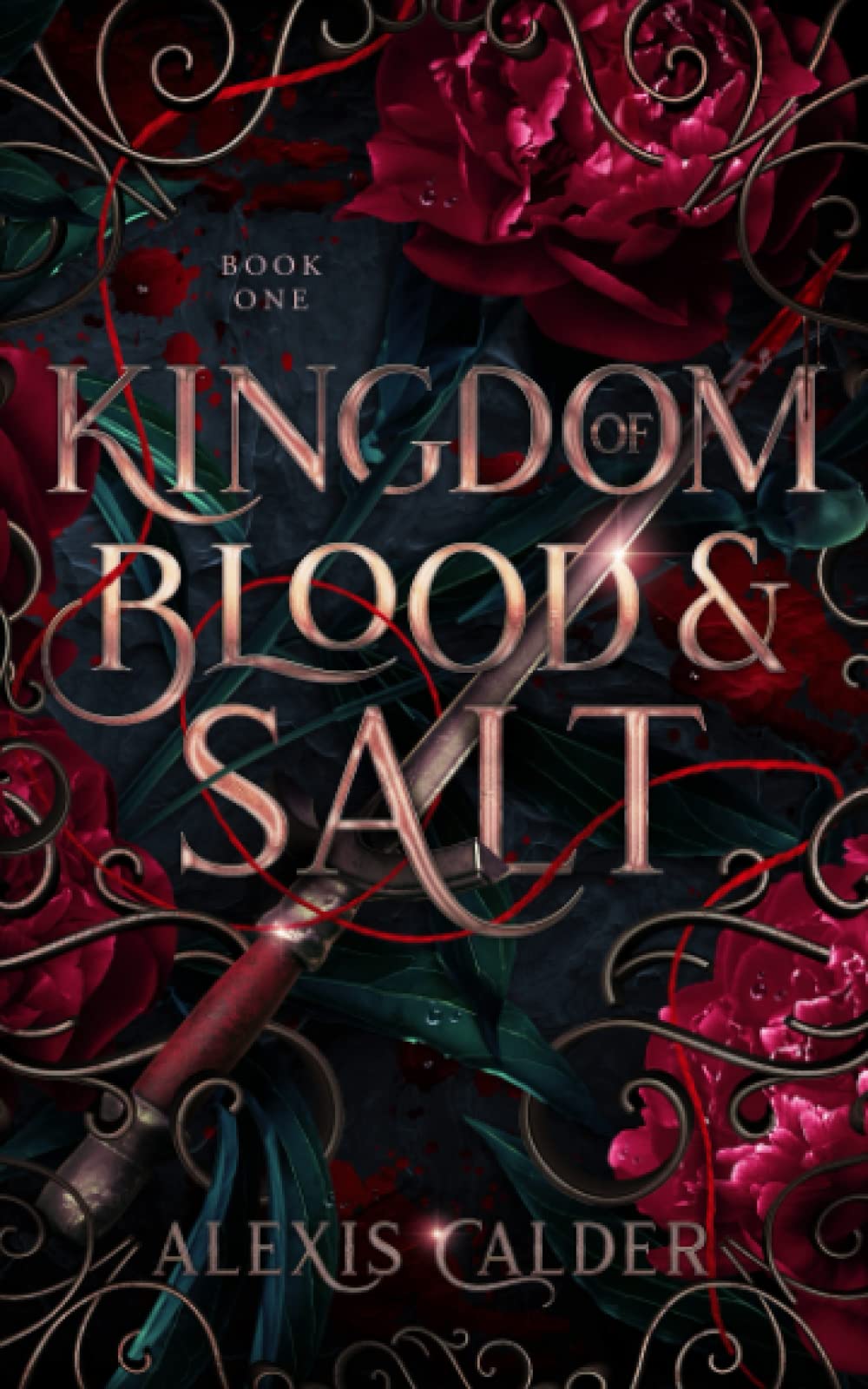 Kingdom of Blood and Salt Urban Fantasy