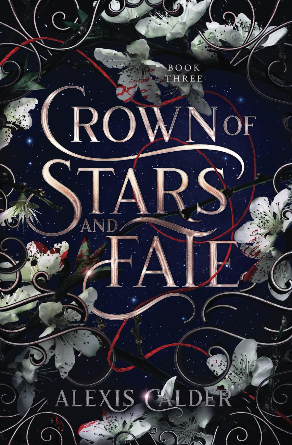 Crown of Stars and Fate (Blood and Salt, Band 3) Romance