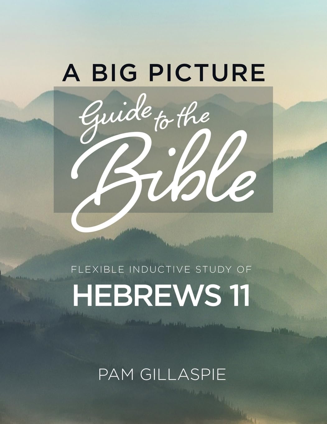 A Big Picture Guide to the Bible Religion & Esotericism