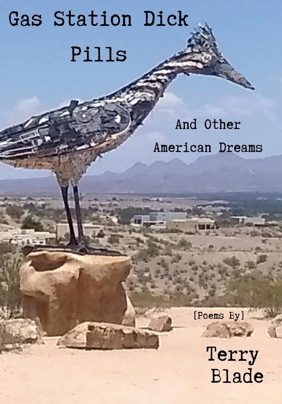 Gas Station Dick Pills And Other American Dreams Poetry