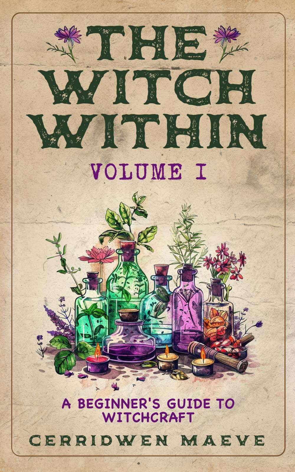 The Witch Within, Volume I: The Beginner's Guide to Witchcraft: A Beginner's Guide to Witchcraft Religion & Esotericism