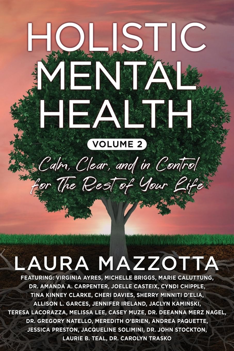 Holistic Mental Health Medicine