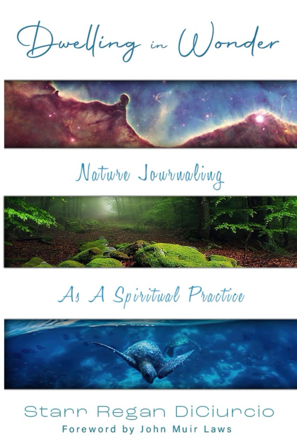 Dwelling in Wonder Leisure & Fun