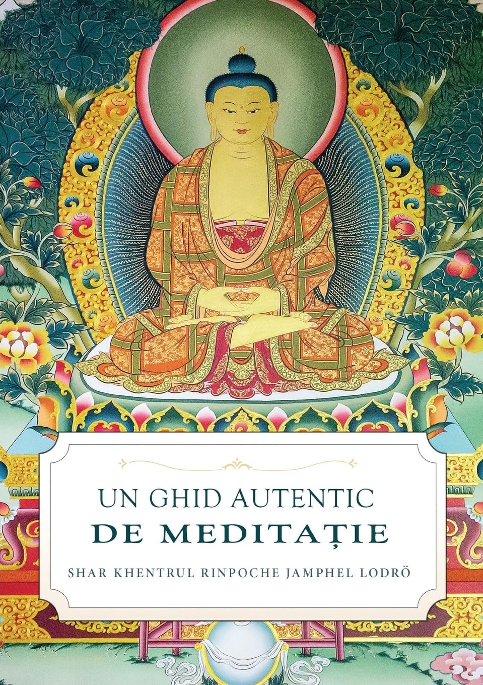 UN GHID AUTENTIC DE MEDITA¿IE Religion & Esotericism