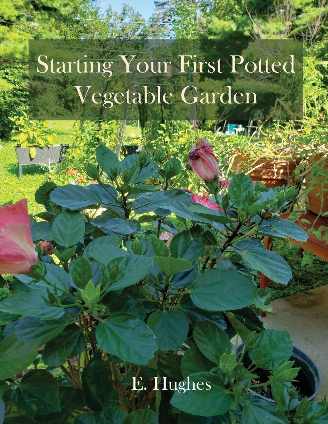 Starting Your First Potted Vegetable Garden: How to Create a Garden Oasis (A Guide) Garden & Plants