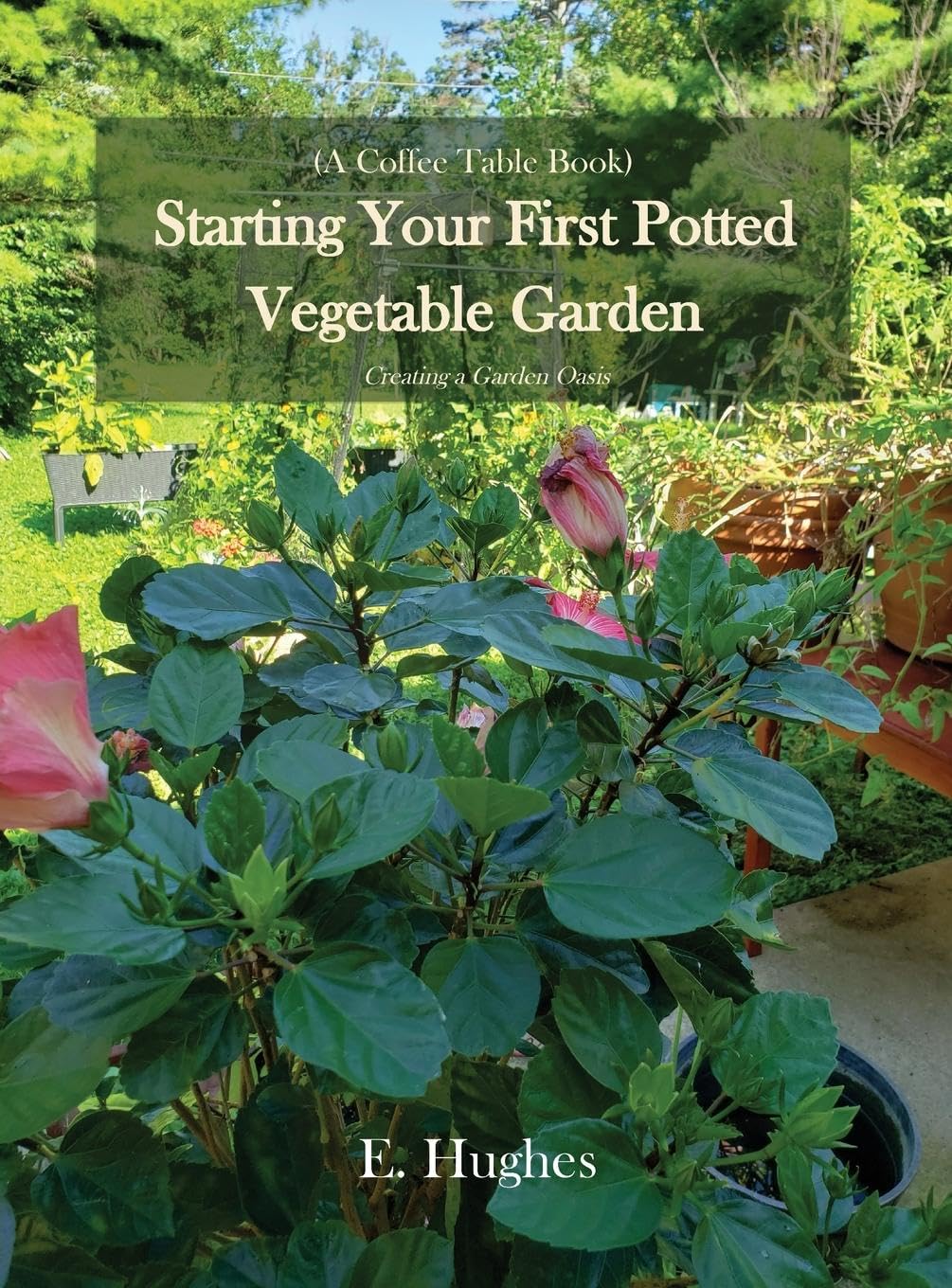 Product Image: Starting Your First Potted Vegetable Garden