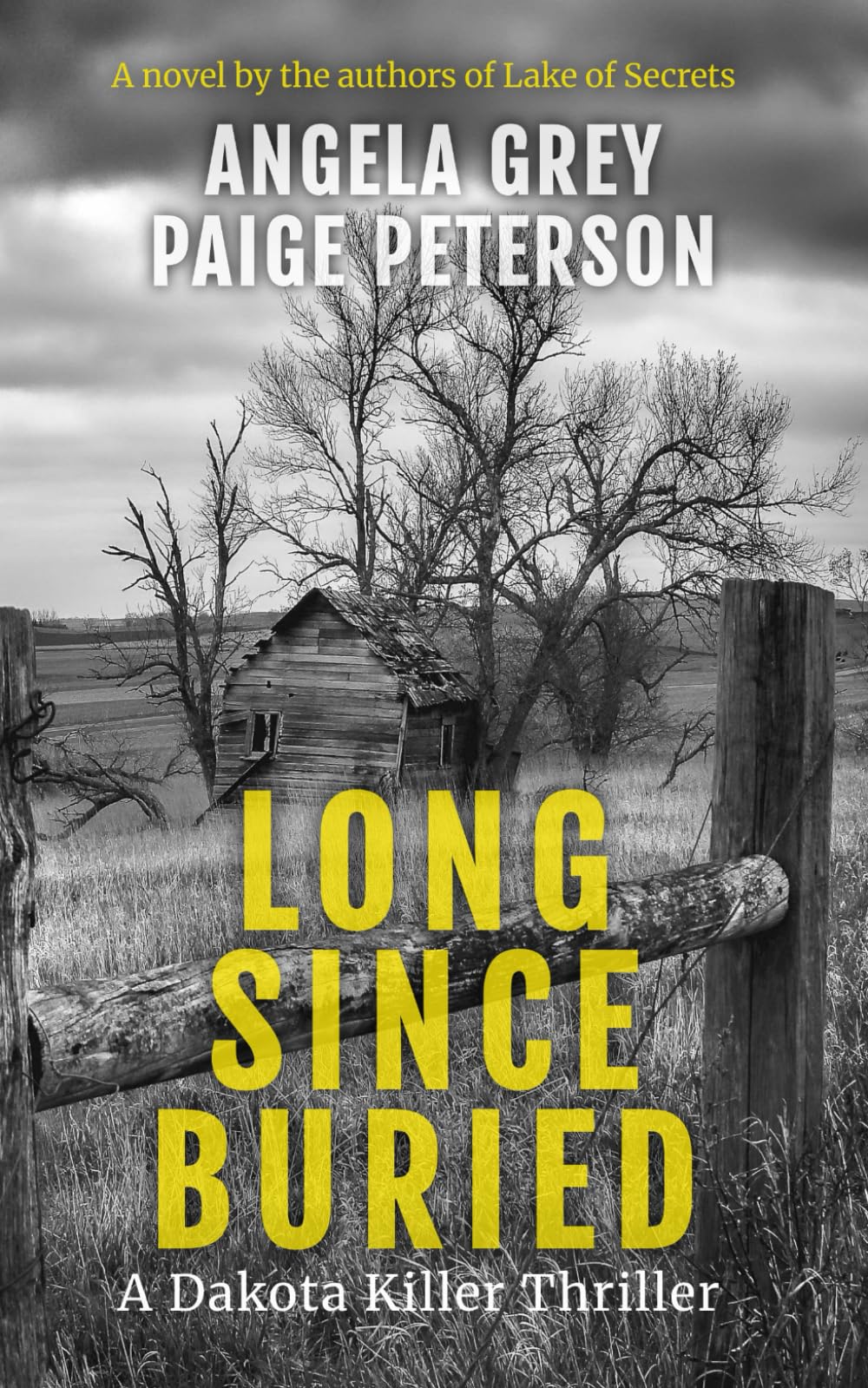 Long Since Buried (A Dakota Killer Thriller, Band 1) Detective & CSI