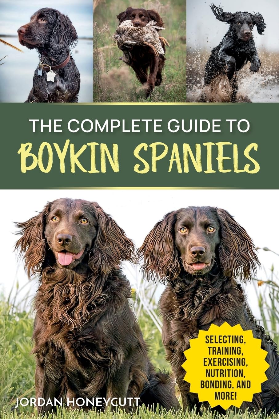 The Complete Guide to Boykin Spaniels Pets