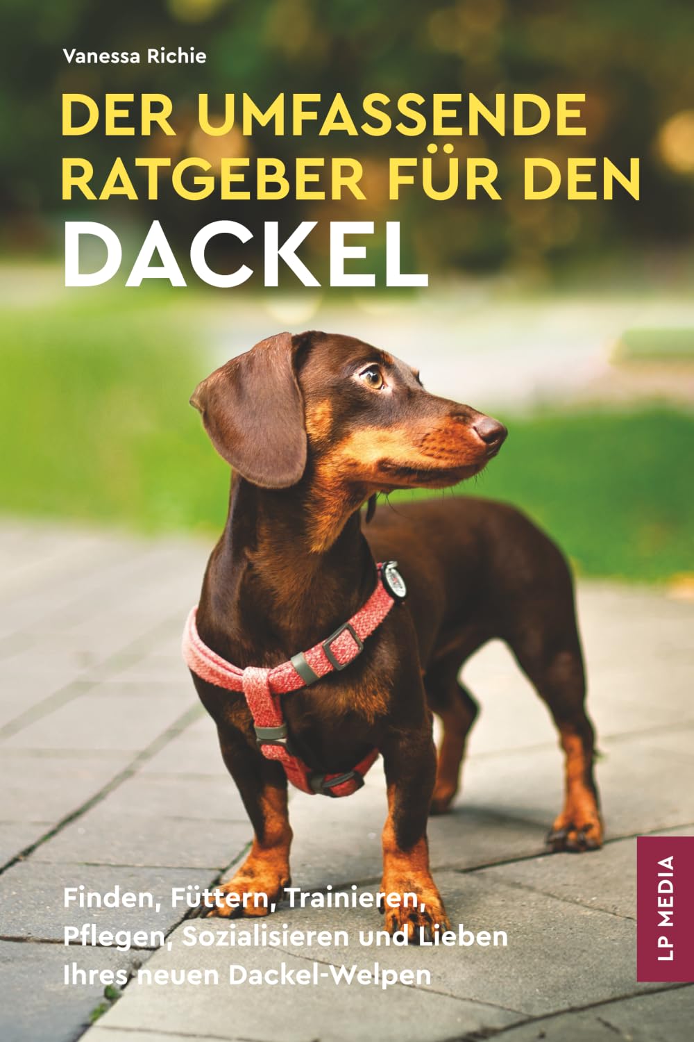 Der Umfassende Ratgeber Für Den Dackel: Finden, Füttern, Trainieren, Pflegen, Sozialisieren und Lieben Ihres Neuen Dackel-Welpen Pets