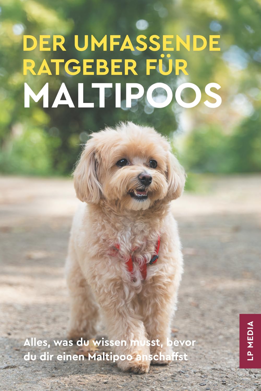 Der Umfassende Ratgeber Für Maltipoos: Alles, was du wissen musst, bevor du dir einen Maltipoo anschaffst Pets
