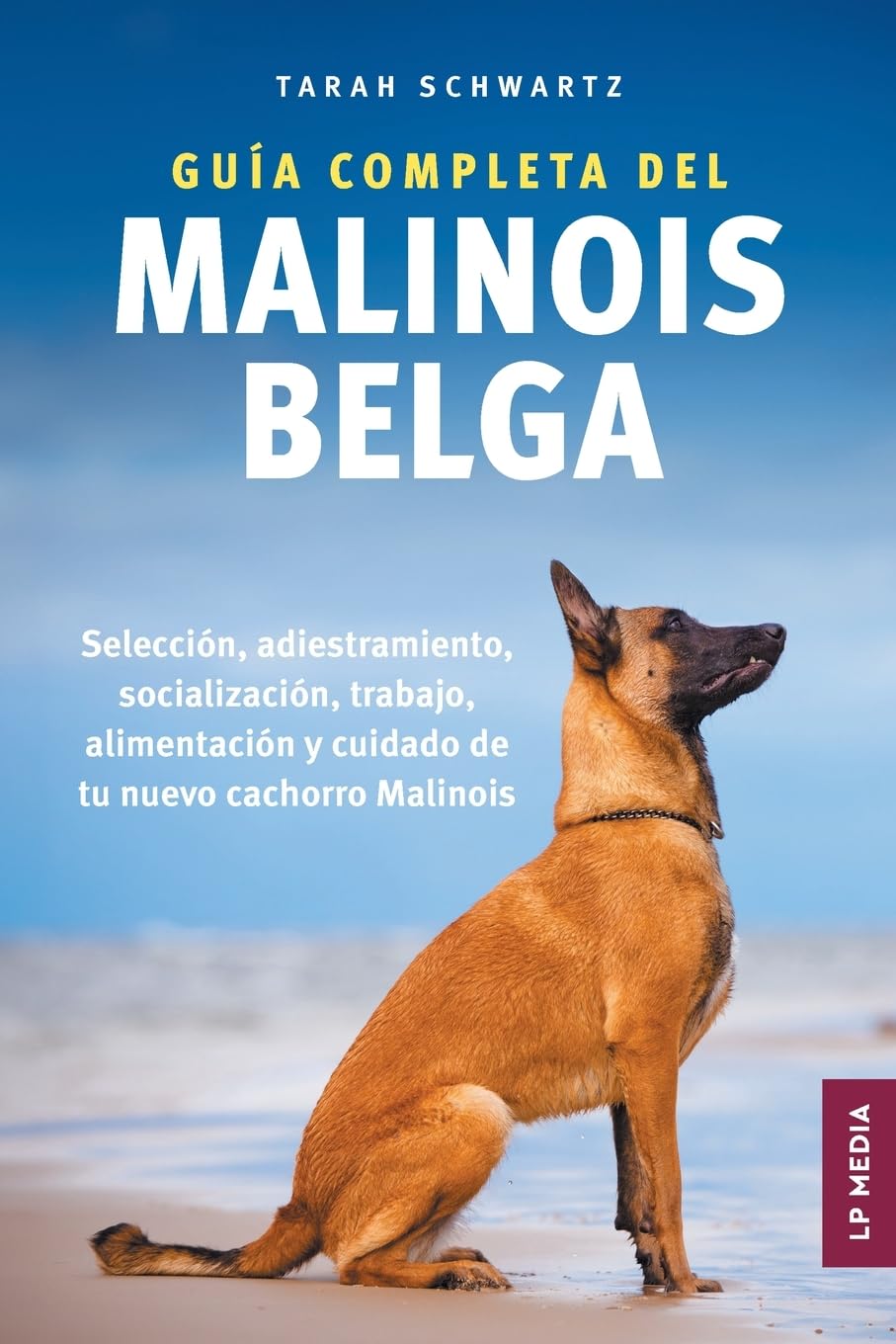 Guía Completa Del Malinois Belga Pets