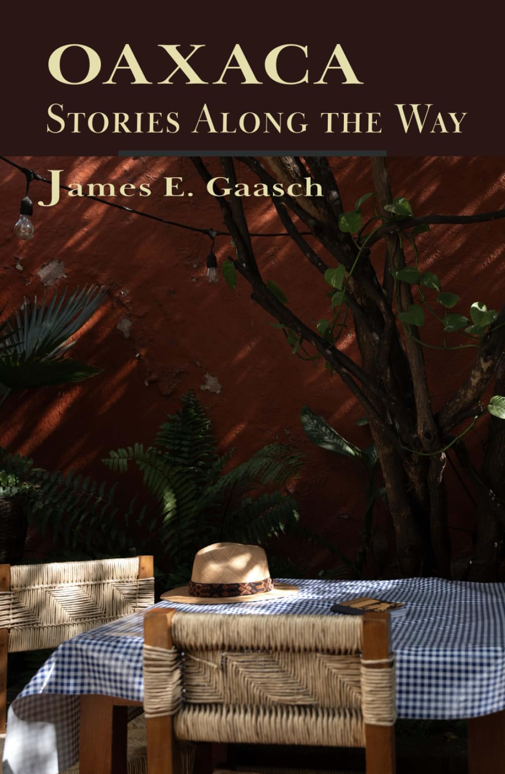 Oaxaca Stories Along the Way Contemporary literature