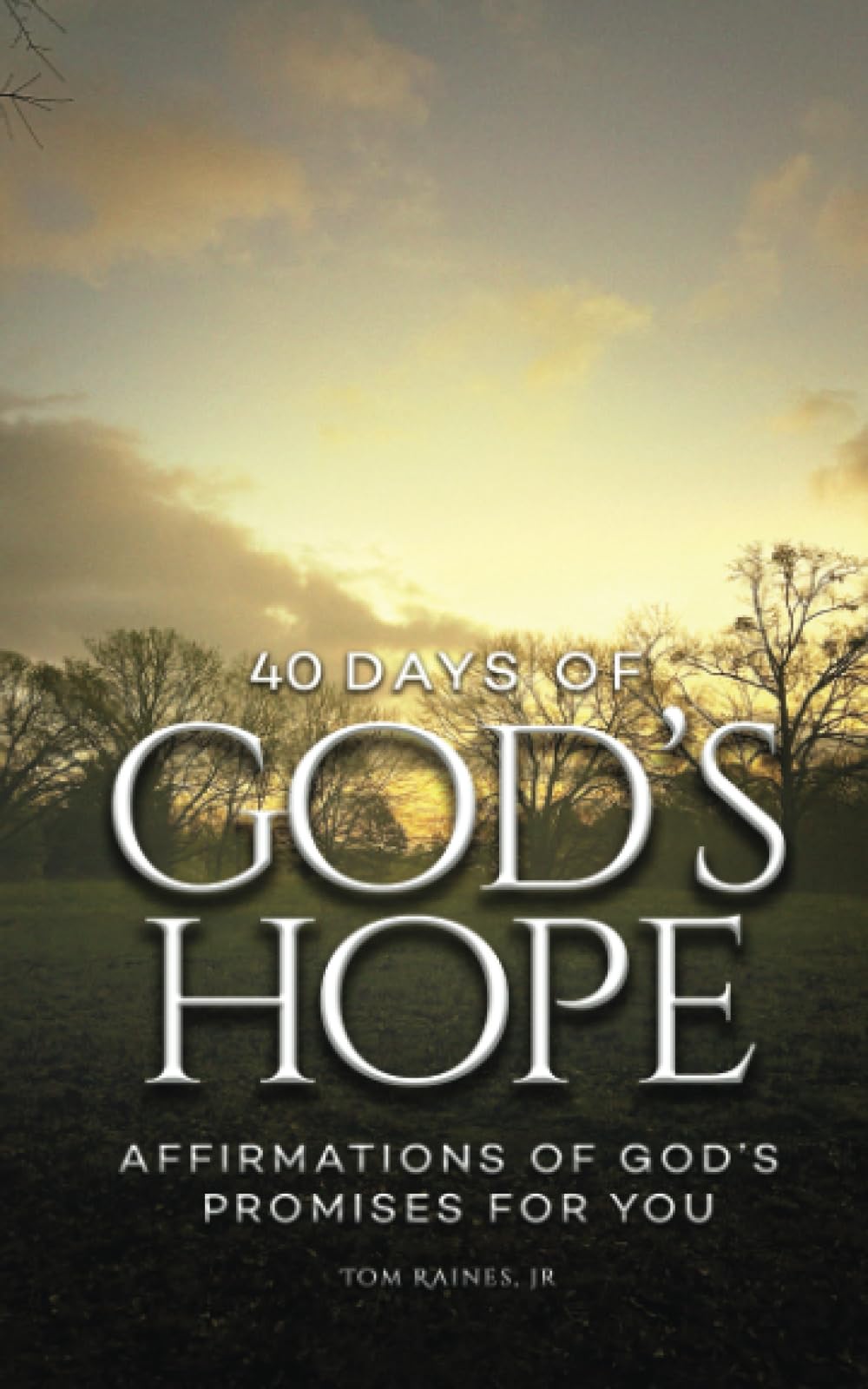40 Days of God's Hope: Affirmations Of God's Promises For You Religion & Esotericism