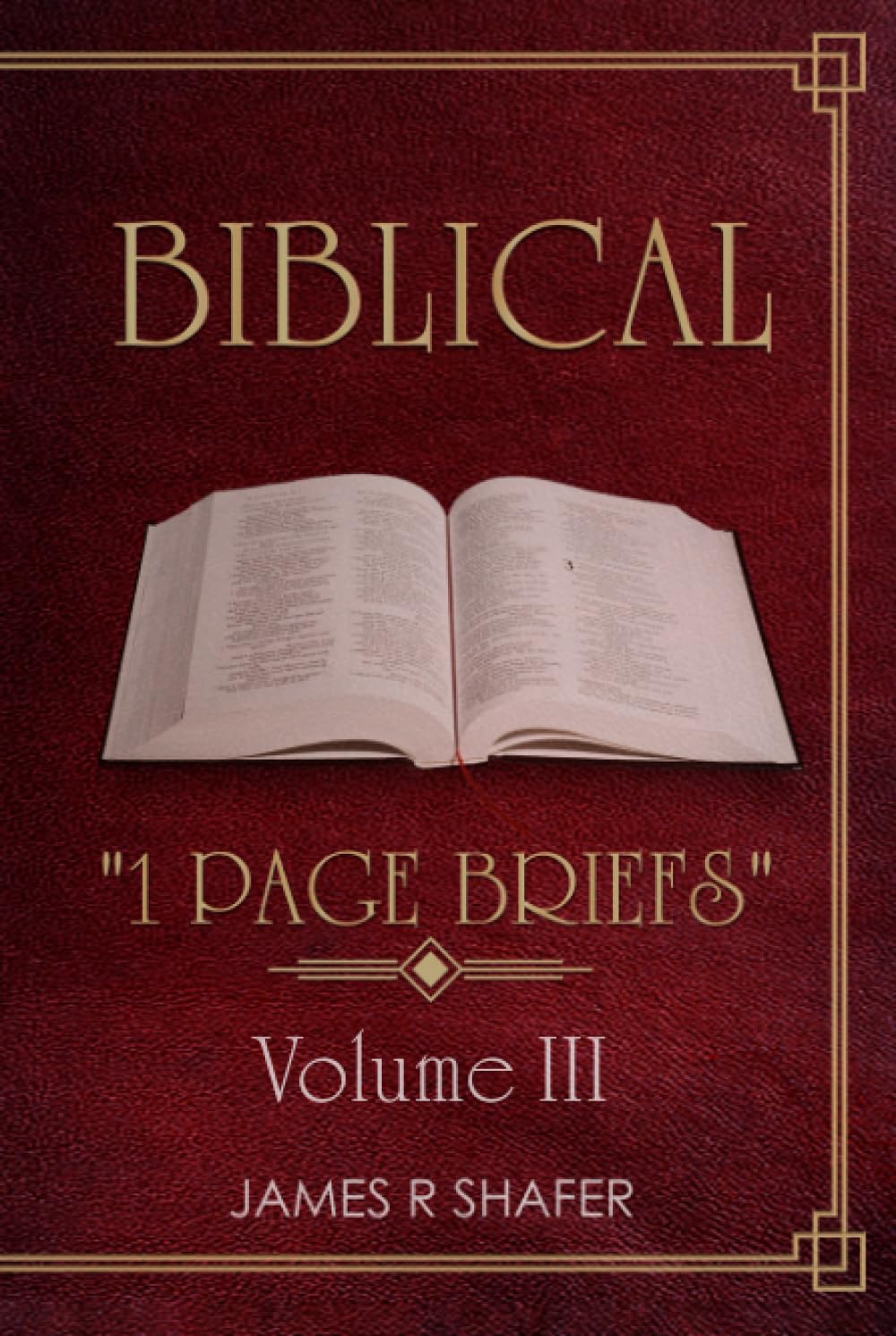 Biblical "1 Page Briefs": VOLUME 3 (Biblical One Page Briefs, Band 3) Religion & Esotericism