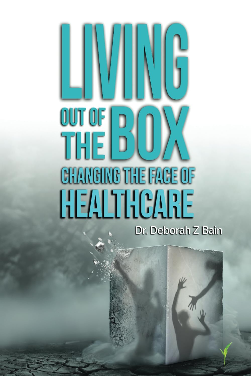 Living Out of the Box: Changing the Face of Healthcare Medicine